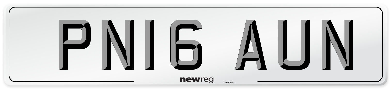 PN16 AUN Number Plate from New Reg